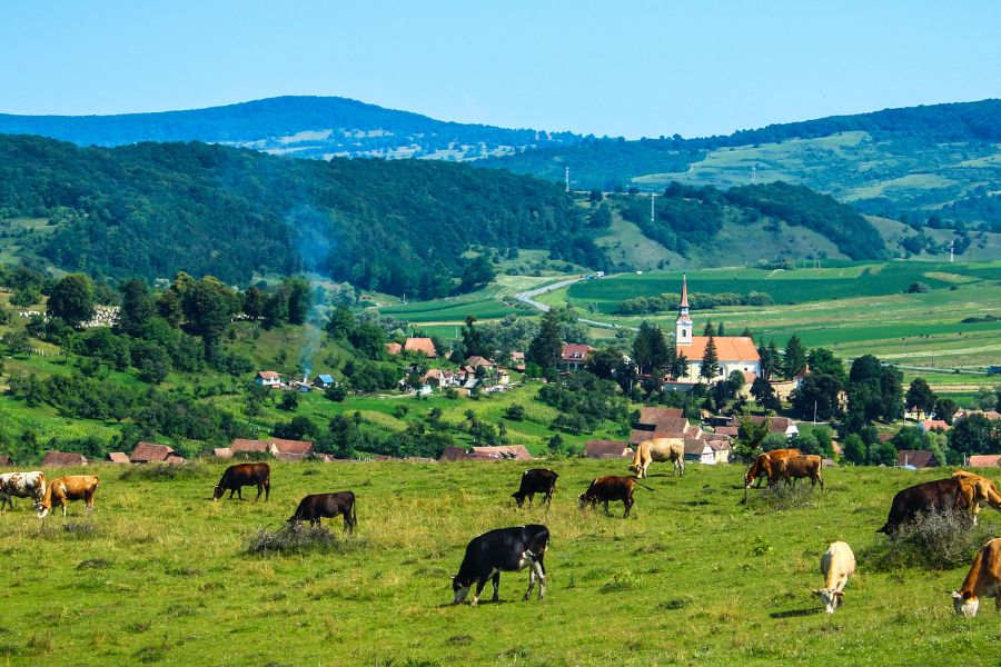 Farmstays and Rural Tourism in Transylvanian Villages